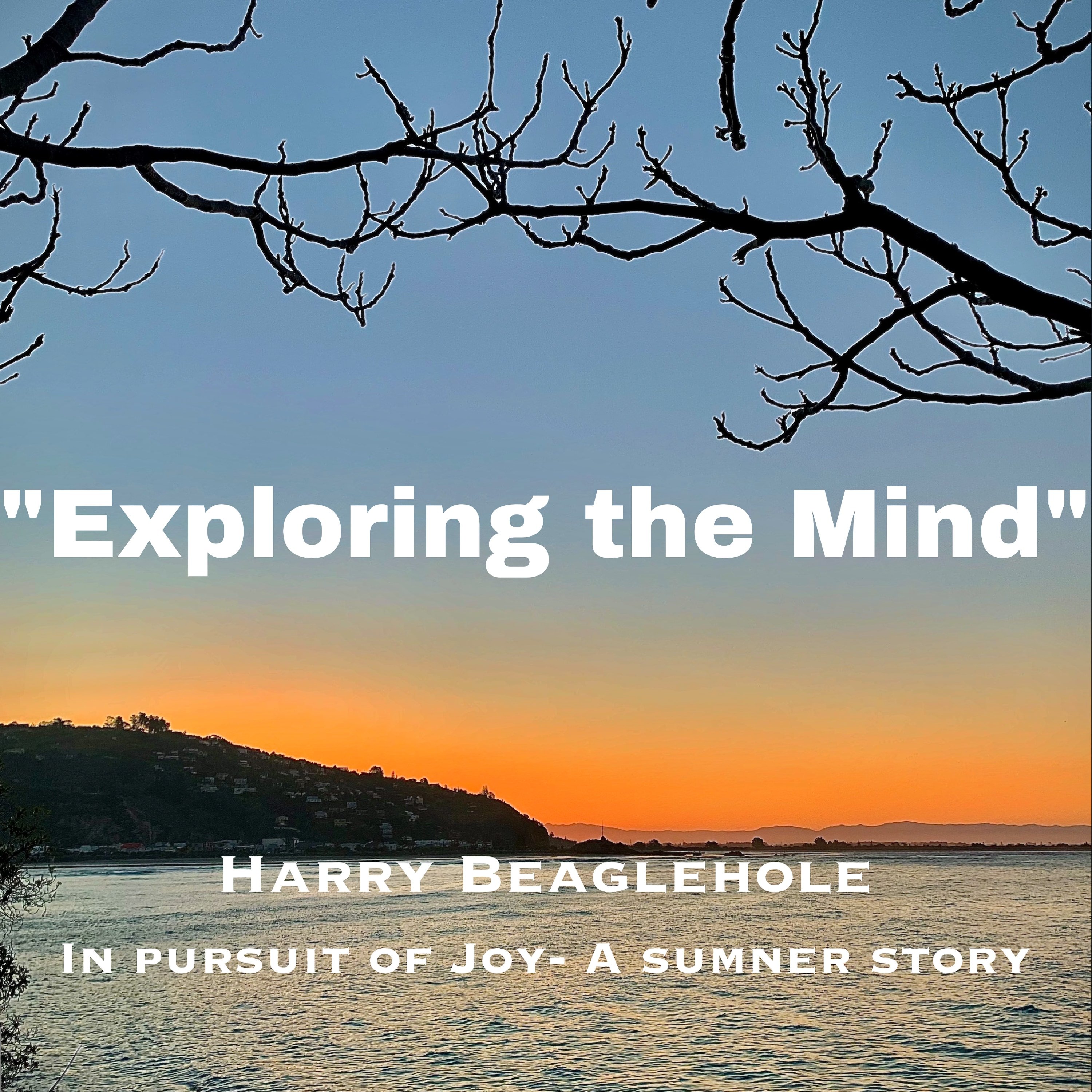 In Pursuit of Joy podcast artwork